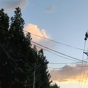 免费看美女裸体🔞🔞🔞中国
