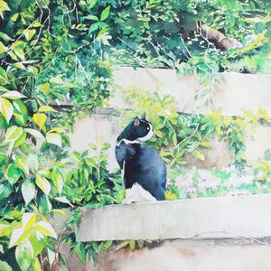 免费看美女裸体🔞🔞🔞中国
